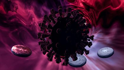 Vorschaubild Virus in der Blutbahn